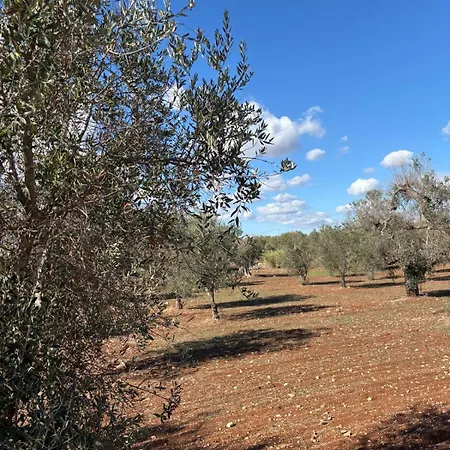 Trullo Gritti By Perle Di Puglia * San Michele Salentino